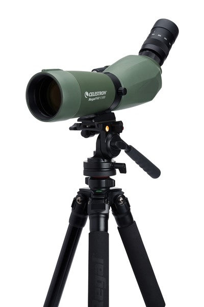 Luneta obserwacyjna Regal M2 65ED