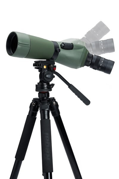 Luneta obserwacyjna Regal M2 65ED